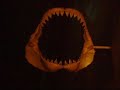The Smithsonian National Museum of Natural History Part One