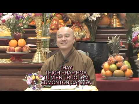 Cá Nhảy Khỏi Lưới