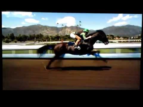 horse rider exercise race qsa