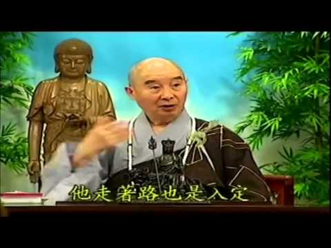 Kinh Vô Lượng Thọ (Giảng Lần Thứ 10, 1998) (Tập 173 Và 174)