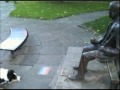 Funny Dog Playing with a Statue