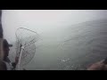 DEEP SEA KING SALMON FISHING IN NORTHERN CALIFORNIA