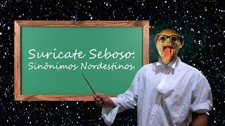 Sinônimos Nordestinos - Suricate Seboso