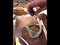 technique d allumage par percussion par manuterra