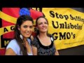 Chew on This - Radio Boise - GMO Free Idaho