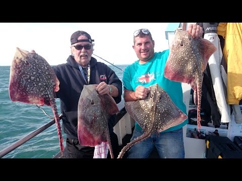 Fishing for Thornback Rays on board the Skerry Belle charter boat
