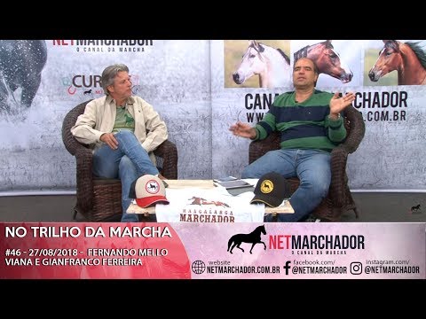 #46 NO TRILHO DA MARCHA - 27/08 - GIANFRANCO FERREIRA E FERNANDO MELLO VIANNA -MANGALARGA AMRCHADOR