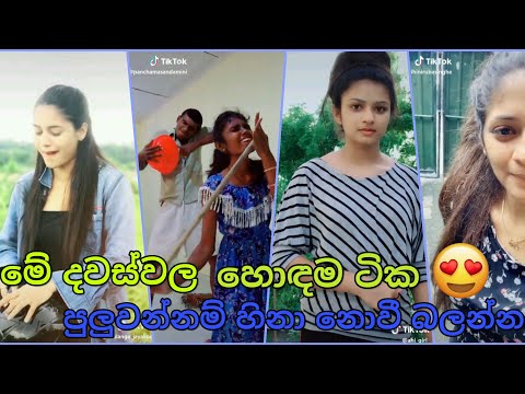 2k19 Best Funny Tik Tok.Best Fun Tik Tok Of This Month