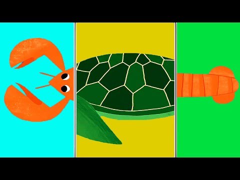 Animals Match Up - Children Play & Learn The Names Of Sea Animals - Fun Educational Baby Games