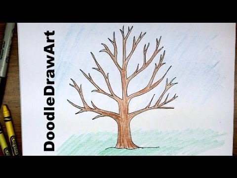 How To Draw A Tree Without Leaves - Easy Drawing Tutorial for Beginners