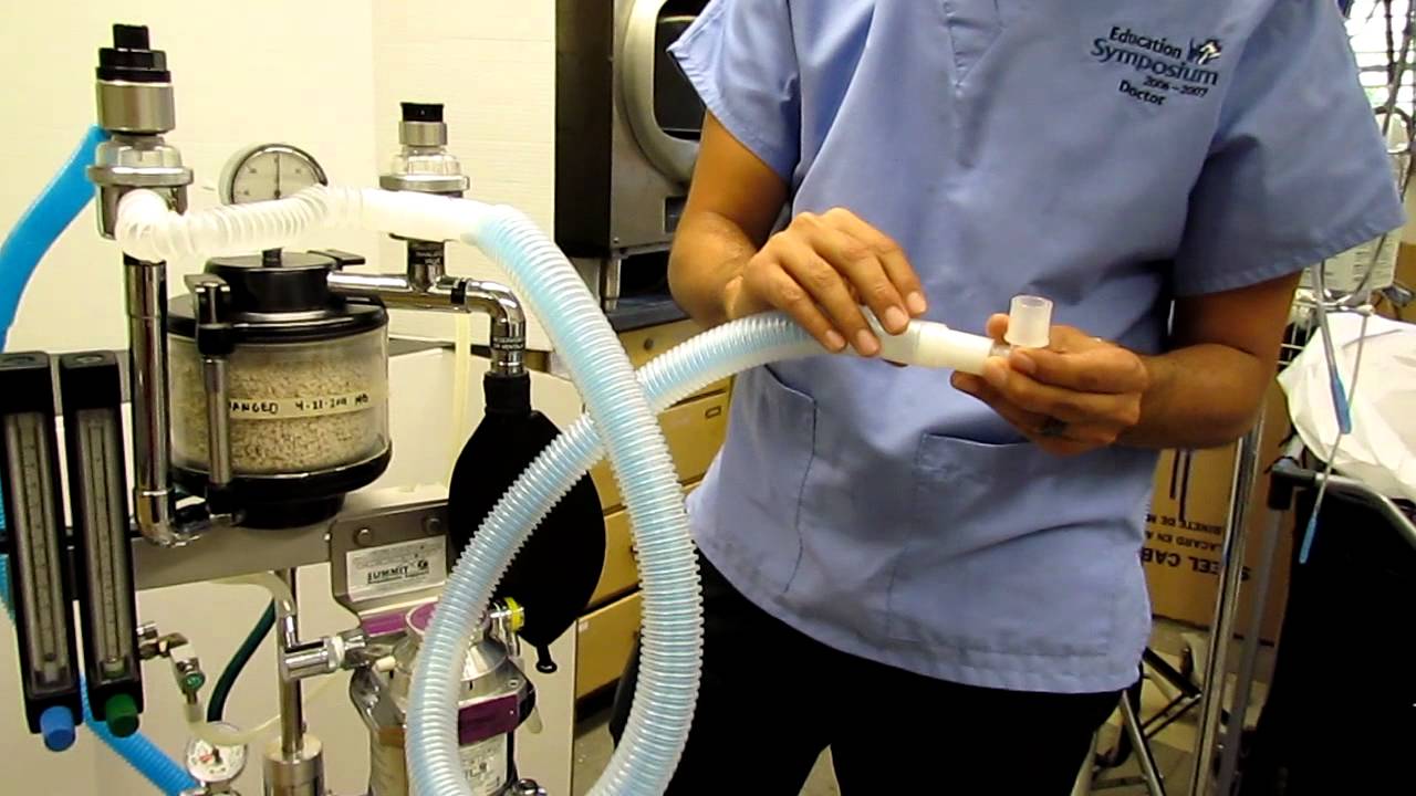 AHS RVTg Program Veterinary Anesthetic Machine YouTube