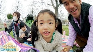 家族でお花見をしてきました(^^)　平成公園 2014