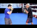 Kicks | MMA Fighting Techniques