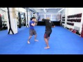 Kicks | MMA Fighting Techniques