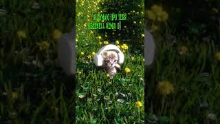 Премьера! Polovinka — Я думаю про тебя (Remix Pack)