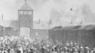 Encountering Auschwitz (2005)