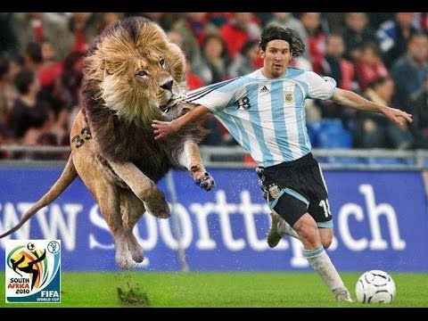 Funny Soccer Moments + Bonus When Soccer Fans Invade the Pitch!