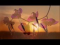 Lifescapes / Integrity