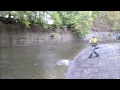Erie Steelhead Fishing October 21, 2013