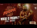 Where is Pushpa  Pushpa 2 - The Rule   Hindi  Allu Arjun  Sukumar  Rashmika  Fahadh Faasil
