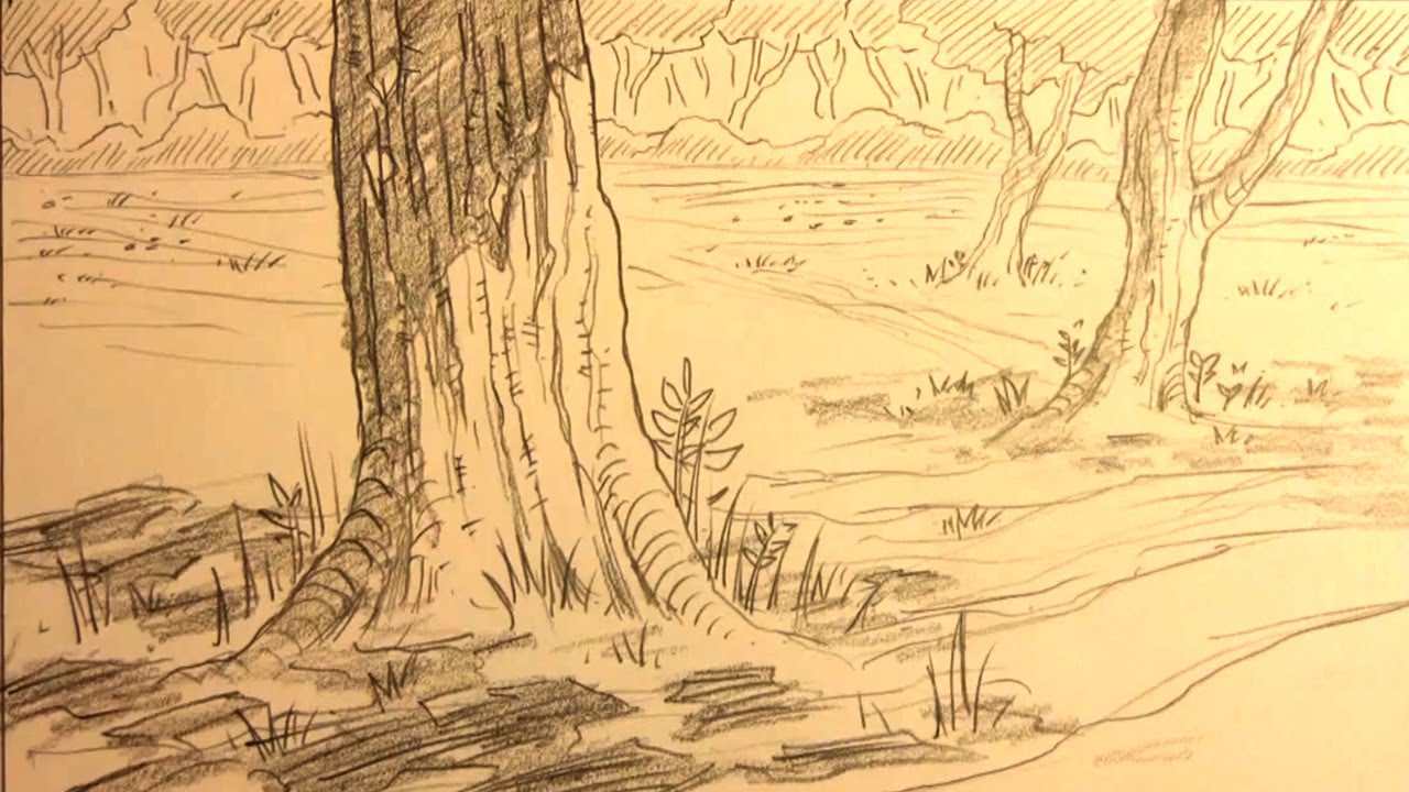 How to Draw Forest Backgrounds for Manga - YouTube
