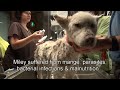 A homeless dog living in a trash pile gets rescued, and then does something amazing! Please share.