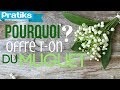 Pourquoi offre-t-on du muguet le 1er Mai ?