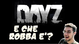 DAYZ - E che robba è?