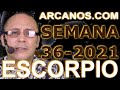 Video Horscopo Semanal ESCORPIO  del 29 Agosto al 4 Septiembre 2021 (Semana 2021-36) (Lectura del Tarot)