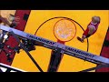 Top 5 Plays of the Night: May 6th