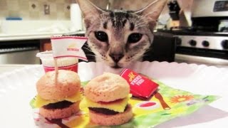 CAN I HAS CHEEZBURGER