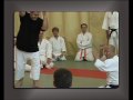 Hino Akira sensei herblay 2008