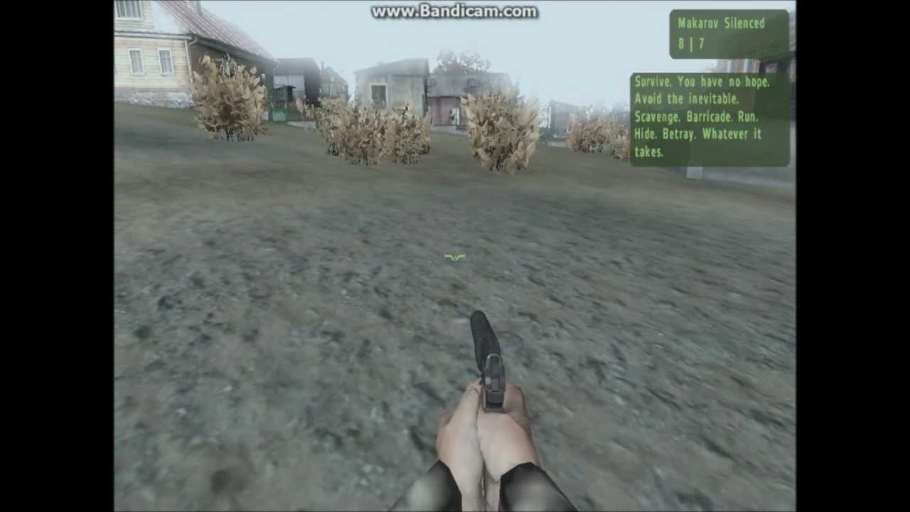 Appeared will chernarus, ported on arma 2 free dynamic zombie sandbox