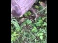 Nature N°1