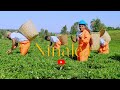 NINALEA _MIRIAM SAMUEL (official Video) Sms Skiza 59610497 to 811