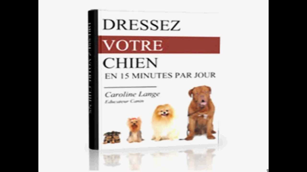Le meilleur livre PDF pour le dressage de votre chien Le meilleur livre PDF pour le dressage de votre chien