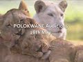 My Top Billing Dream: Polokwane | Cape Town | JHB Promo
