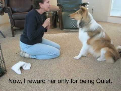 How to Teach Dog Tricks, Speak and Quiet - YouTube