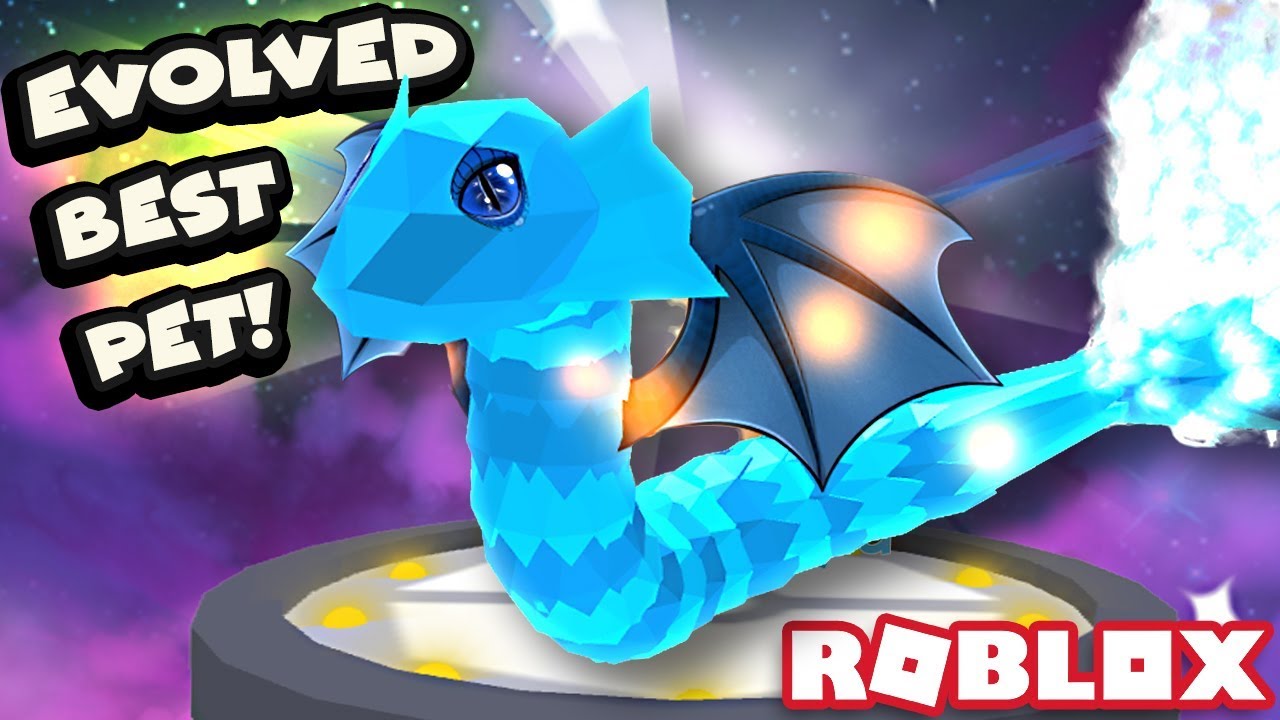 Getting Shiny Dragonflyd Drogan The Best Evolved Pet Roblox