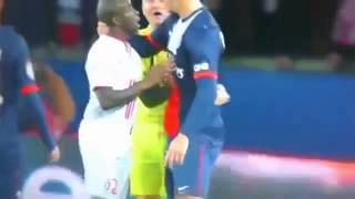 Zlatan  Ibrahimovic fight