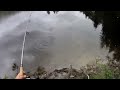 How to Fly fishing for trout with spinning gear