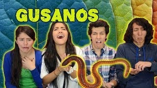 COMIENDO GUSANOS | RETO POLINESIO