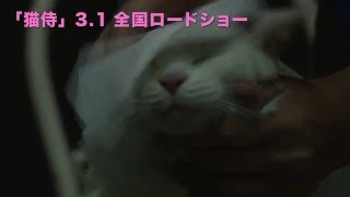 玉之丞さまの猫萌え動画②―映画「猫侍」メイキング