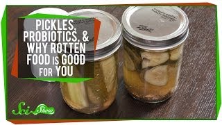 Pickles, Probiotics, and Why Rotten Food Is Good For You