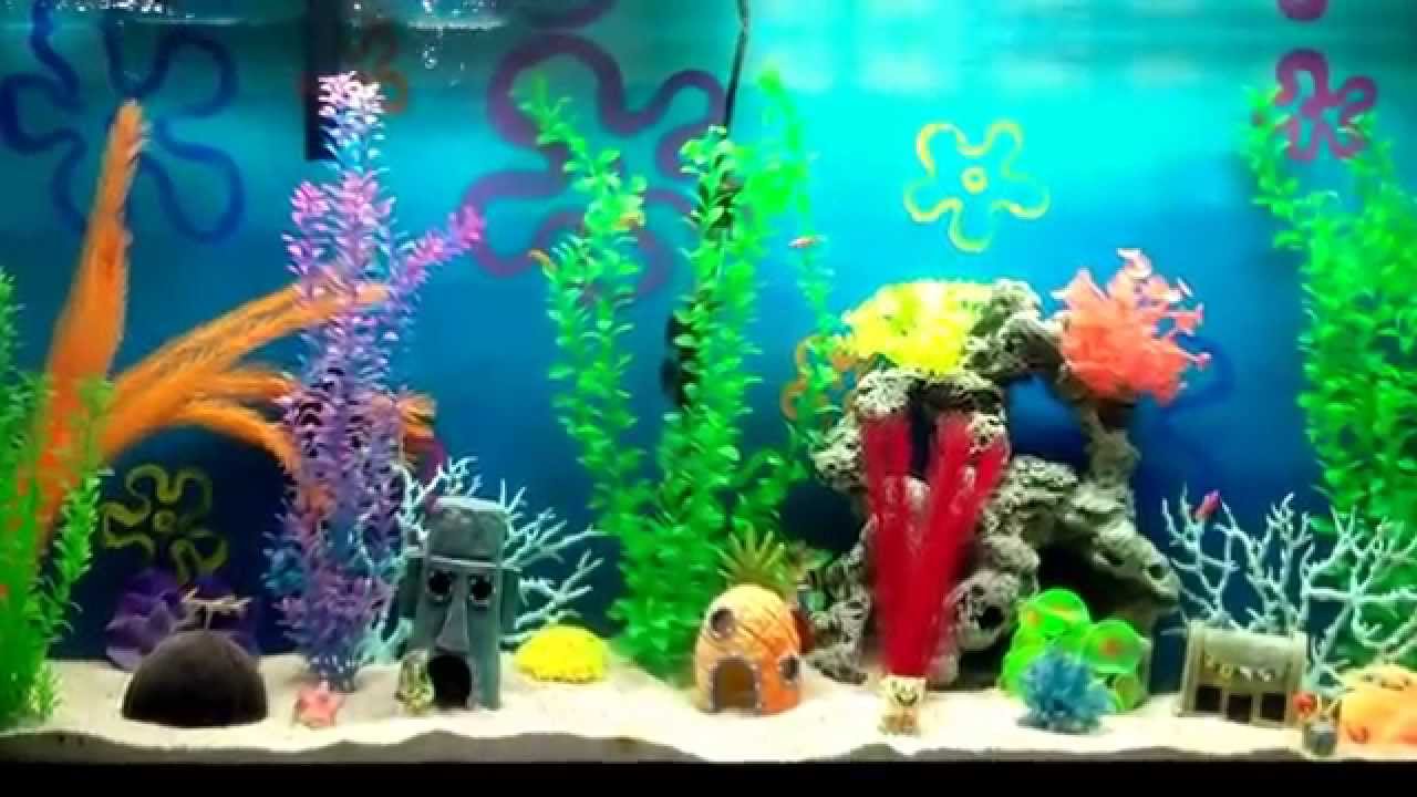 the best spongebob aquarium! - YouTube