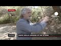 euronews interview - Grillo in esclusiva su euronews: