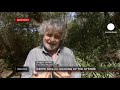 euronews interview - Grillo in esclusiva su euronews: