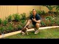 Better Homes and Gardens - Gardening: garden edging