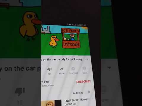Monkey on the car Duck song