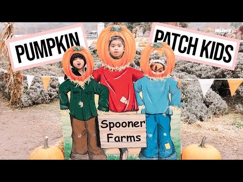 Pumpkin Patch and Kids Say the Darndest Things